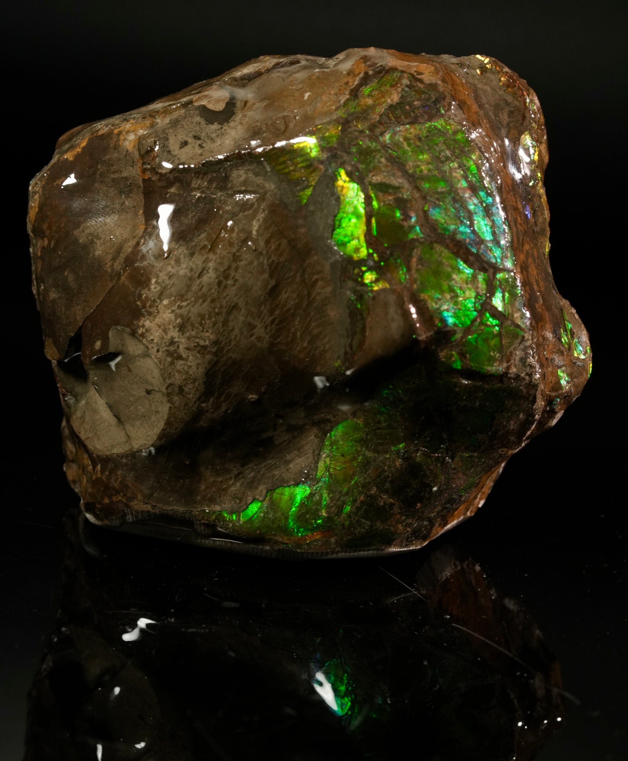 Ammolite Polished Stone #2545