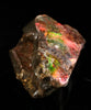 Polished Ammolite Stone #2549