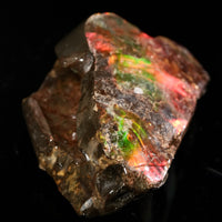 Polished Ammolite Stone #2549