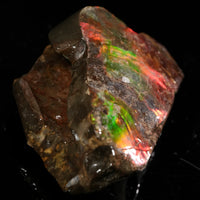 Polished Ammolite Stone #2549