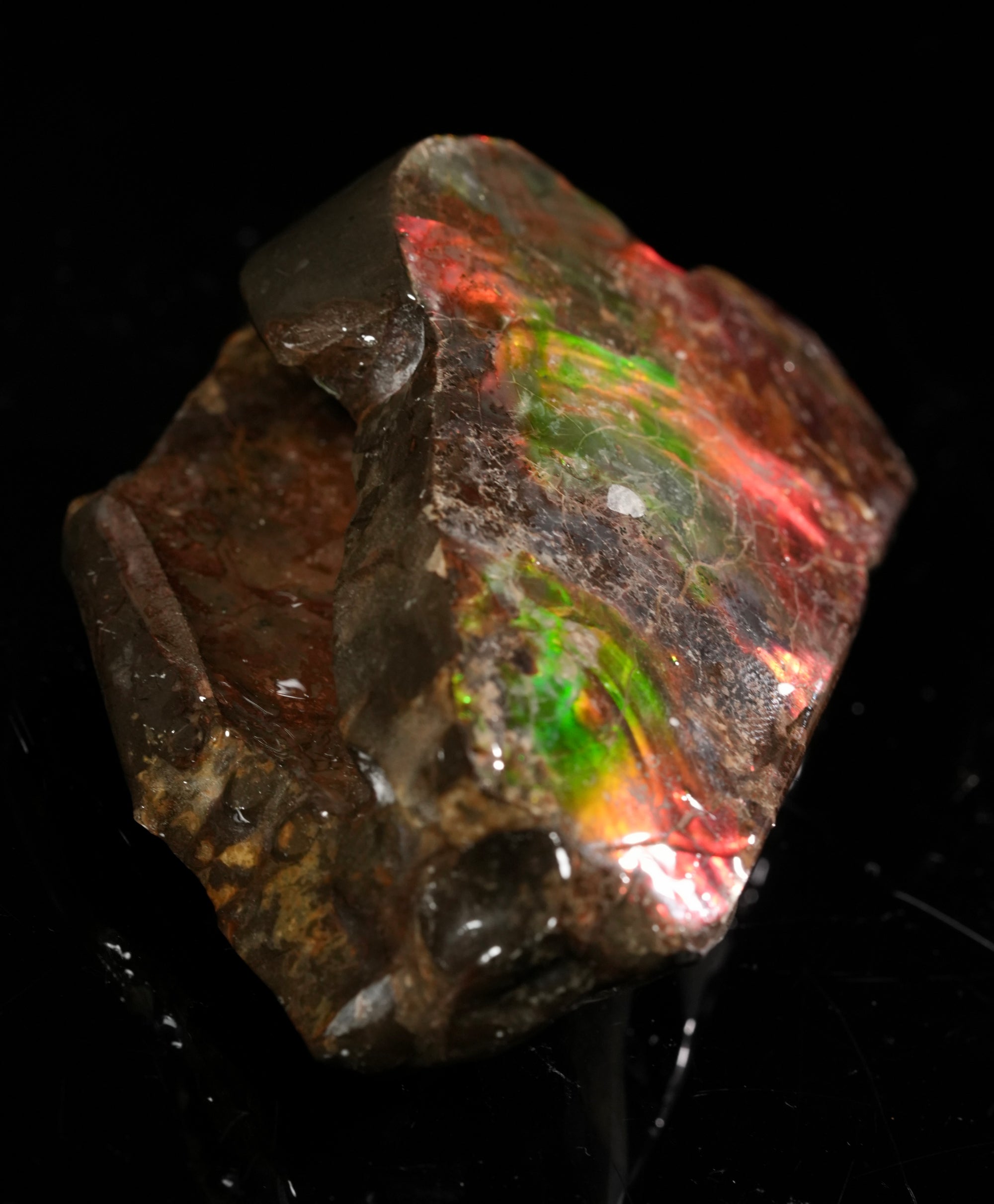 Ammolite Polished Stone #2549
