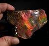 Polished Ammolite Stone #2549