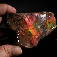 Polished Ammolite Stone #2549