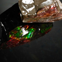 Polished Ammolite Stone #2549