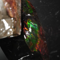 Polished Ammolite Stone #2549