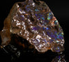 Polished Ammolite Stone #2552