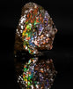 Polished Ammolite Stone #2552