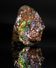 Polished Ammolite Stone #2552