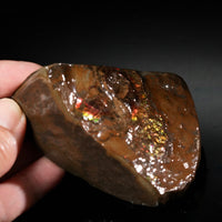 Polished Ammolite Stone #2551