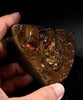 Polished Ammolite Stone #2551