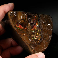 Polished Ammolite Stone #2551