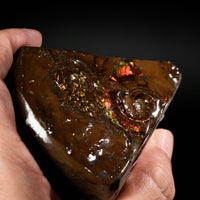 Polished Ammolite Stone #2551