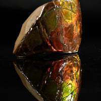 Polished Ammolite Stone #2556