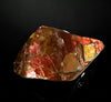 Polished Ammolite Stone #2556