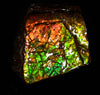 Polished Ammolite Stone #2550