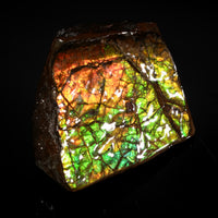 Polished Ammolite Stone #2550