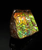 Polished Ammolite Stone #2550