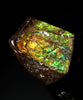 Polished Ammolite Stone #2550