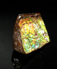 Polished Ammolite Stone #2550