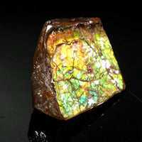 Polished Ammolite Stone #2550