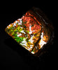 Polished Ammolite Stone #2550