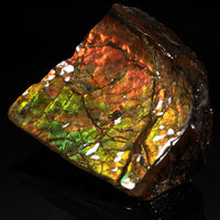 Polished Ammolite Stone #2550