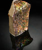 Polished Ammolite Stone #2555