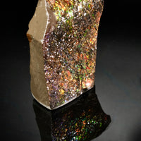 Polished Ammolite Stone #2555