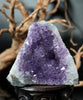 Amethyst Semi-Geode Base Cut (0.88 LB) #2601