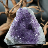 Amethyst Semi-Geode Base Cut (0.88 LB) #2601