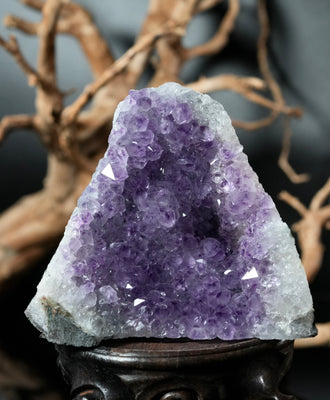 Amethyst Semi-Geode Base Cut (0.88 LB) #2601