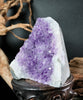 Amethyst Semi-Geode Base Cut (0.88 LB) #2601