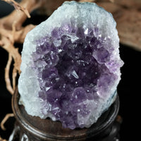 Amethyst Semi-Geode Base Cut (1.12 LB) #2604