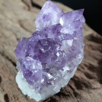 Amethyst Cluster (0.379 LB) #2610