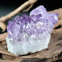 Amethyst Cluster (0.379 LB) #2610