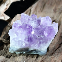 Amethyst Cluster (0.326 LB) #2611