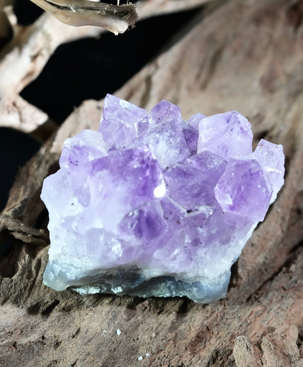 Amethyst Cluster (0.326 LB) #2611