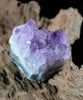 Amethyst Cluster (0.326 LB) #2611