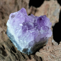 Amethyst Cluster (0.326 LB) #2611