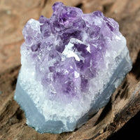 Amethyst Cluster (0.379 LB) #2613