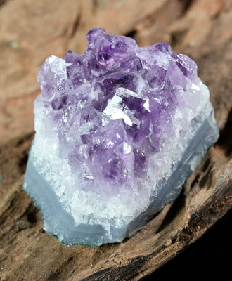 Amethyst Cluster (0.379 LB) #2613