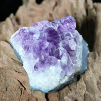 Amethyst Cluster (0.379 LB) #2613