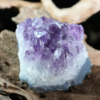 Amethyst Cluster (0.379 LB) #2613