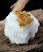 Citrine Display (0.66 LB) #2624