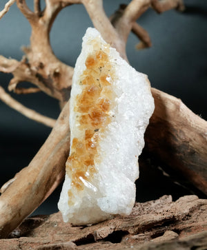 Citrine Display (0.44LB) #2625