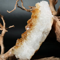 Citrine Display (0.44LB) #2625