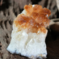 Citrine Display (0.6LB) #2627