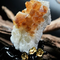 Citrine Display (0.6LB) #2627