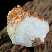 Citrine Display (0.62LB) #2628