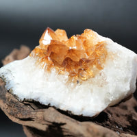 Citrine Display (0.94LB) #2505